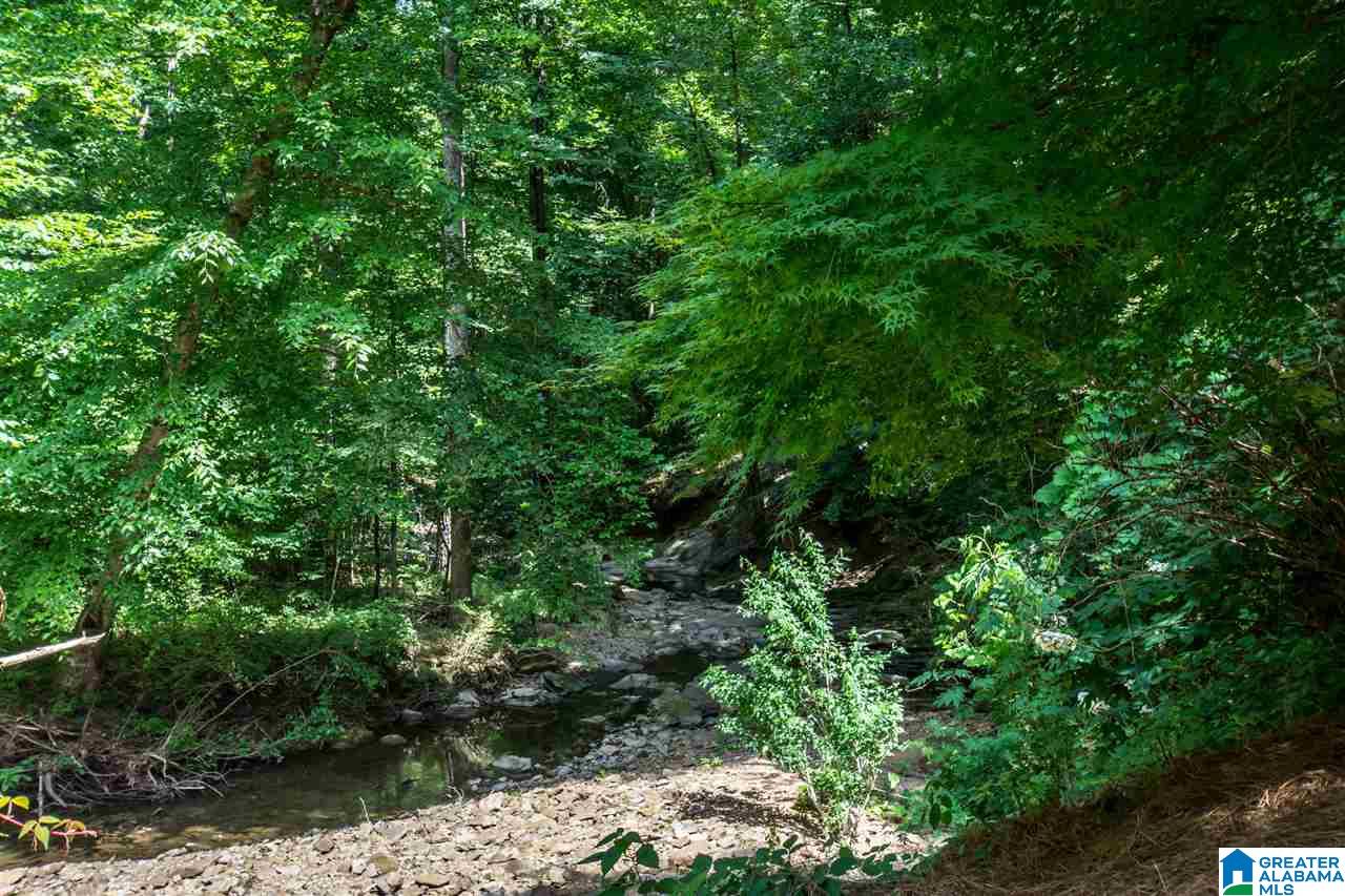 3556 Spring Valley Court Birmingham, AL 35223 - Photo 49 of 50