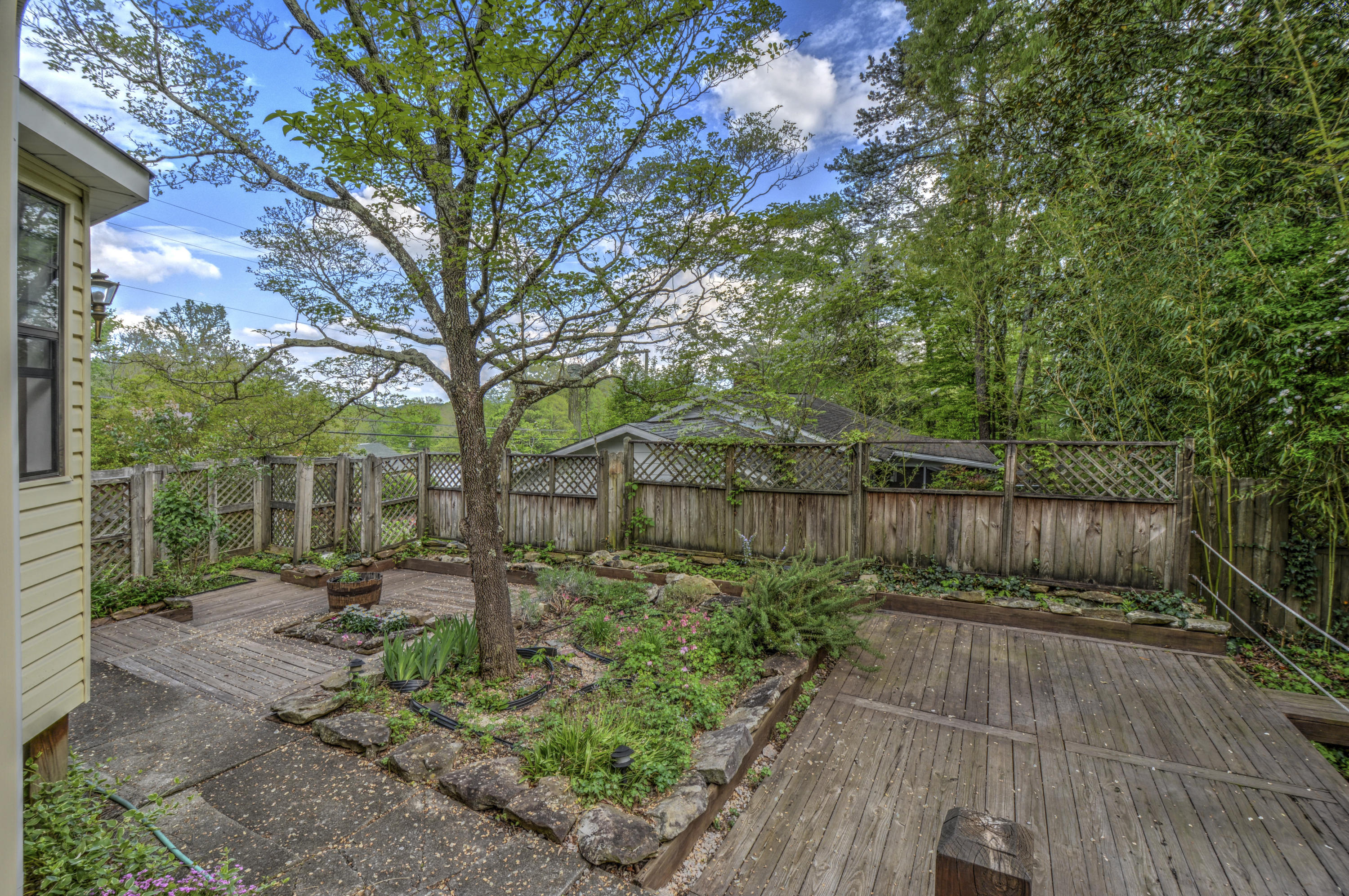 153 Georgia Avenue Oak Ridge, TN 37830 - Photo 8 of 32 153 Georgia Ave.--6