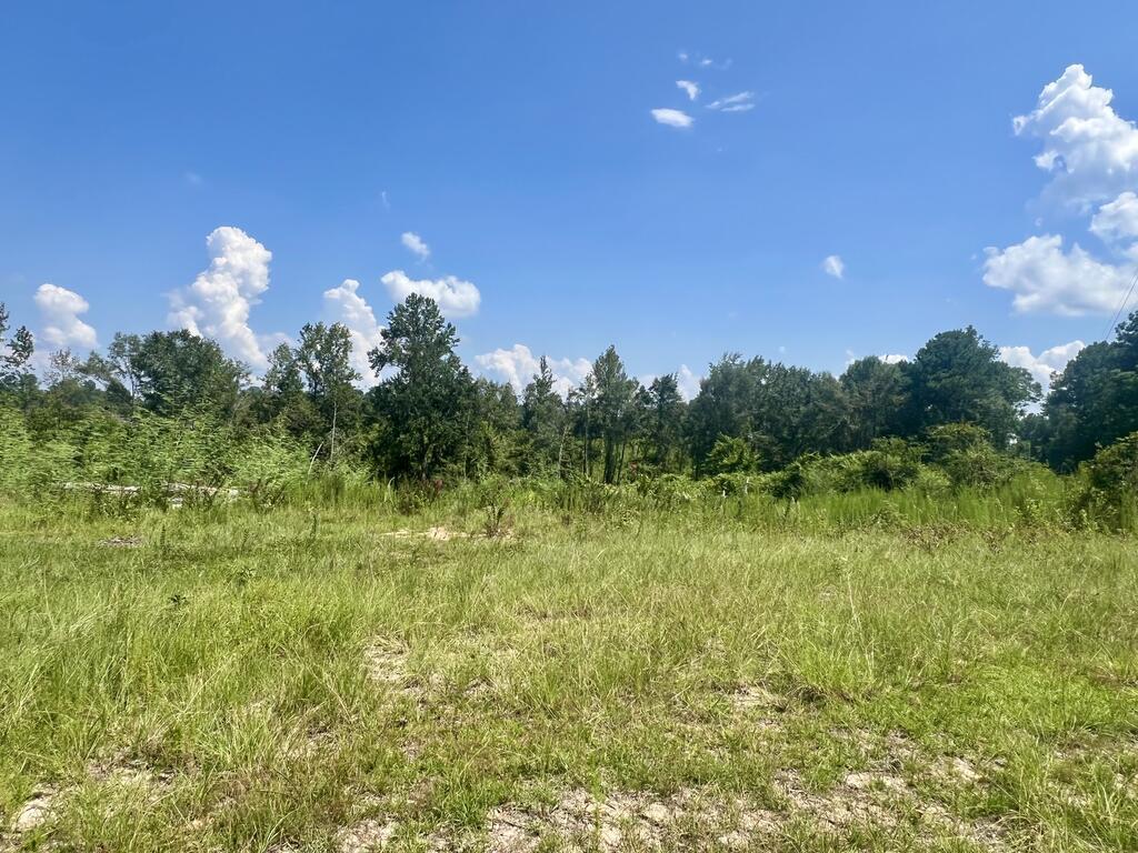0 Co Road Laurel, MS 39443 - Photo 2 of 23 Gallery Image 2