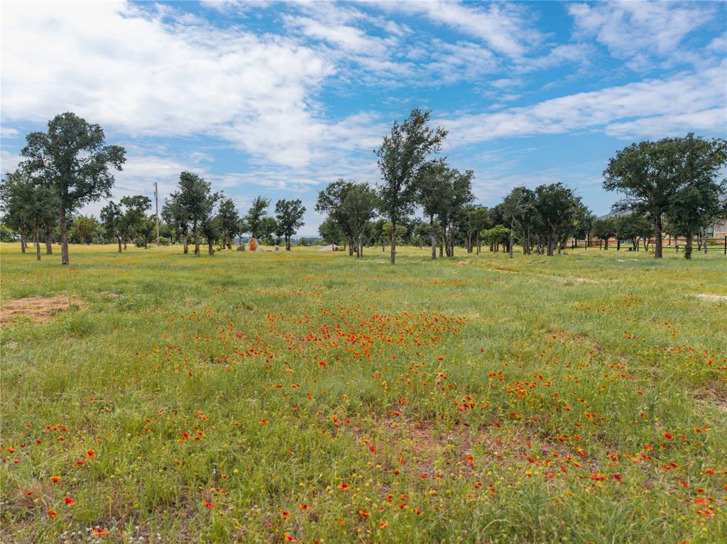 977 Deep Water Road May, TX 76857 - Photo 13 of 36 a view of field with trees in the background