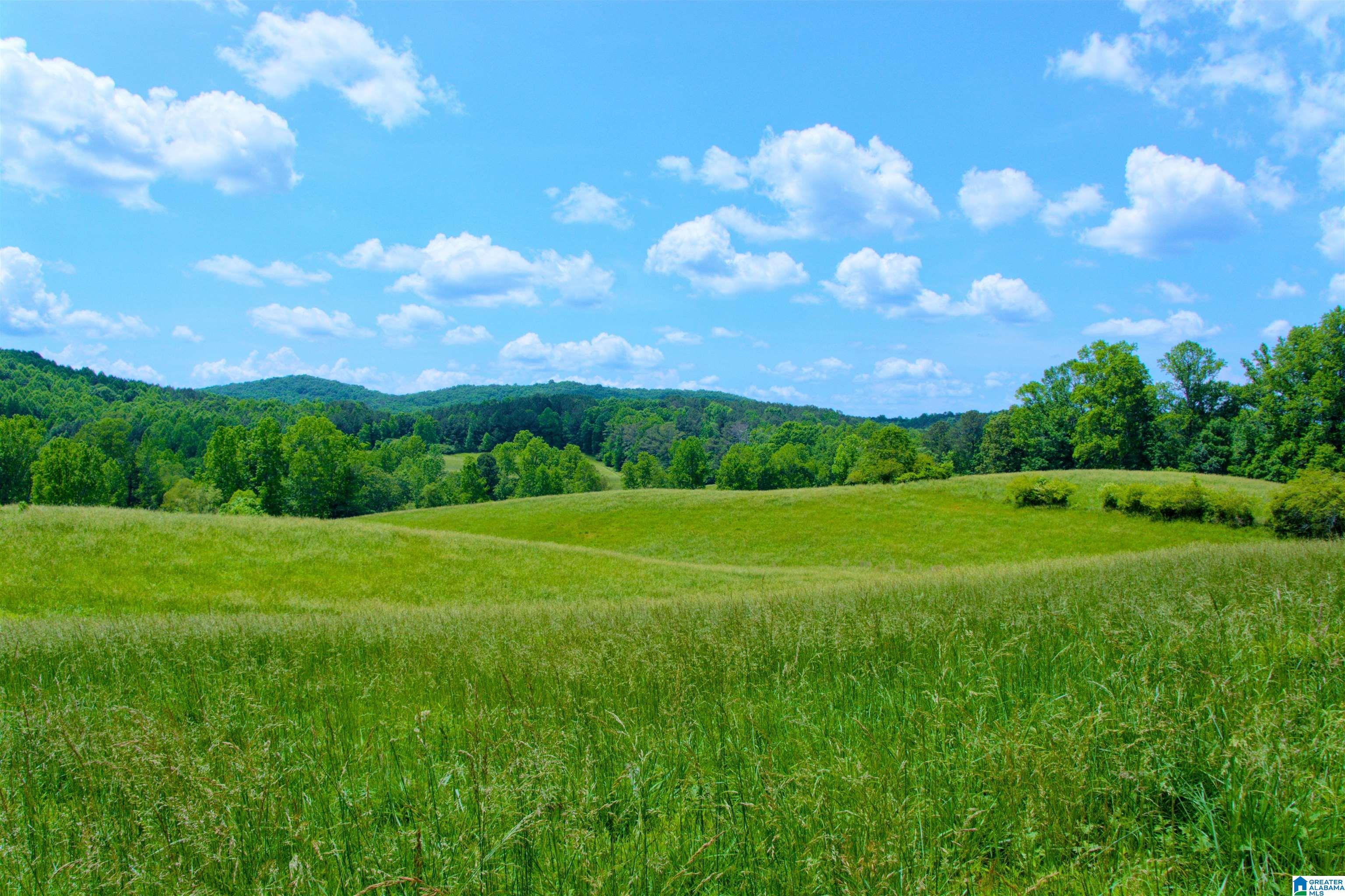 280 County Road 63 Ranburne, AL 36273 - Photo 39 of 43