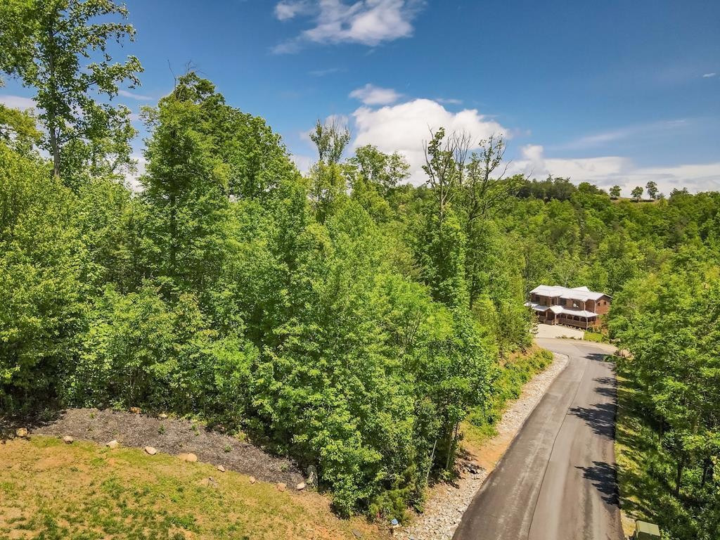 134 Summit Trails Drive Sevierville, TN 37862 - Photo 6 of 19