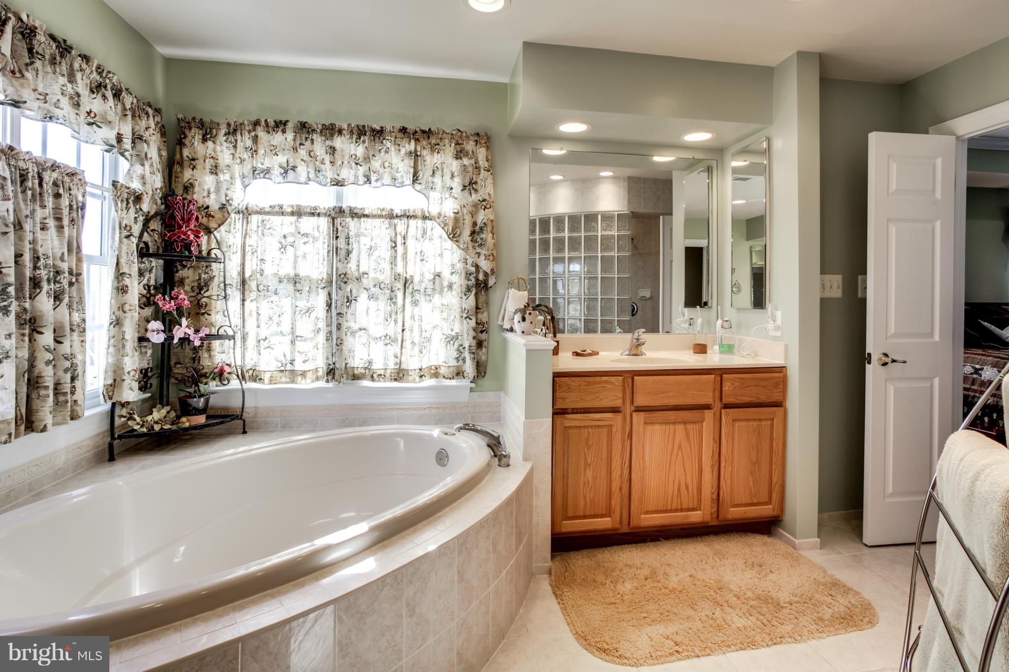 11106 Riverview Road Fort Washington, MD 20744 - Photo 19 of 30 Bath (Master)