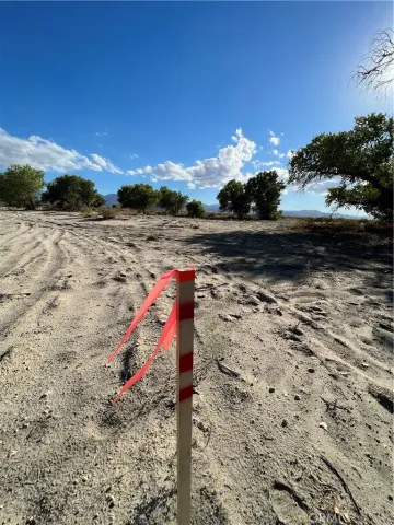 a view of a yard with wooden fence