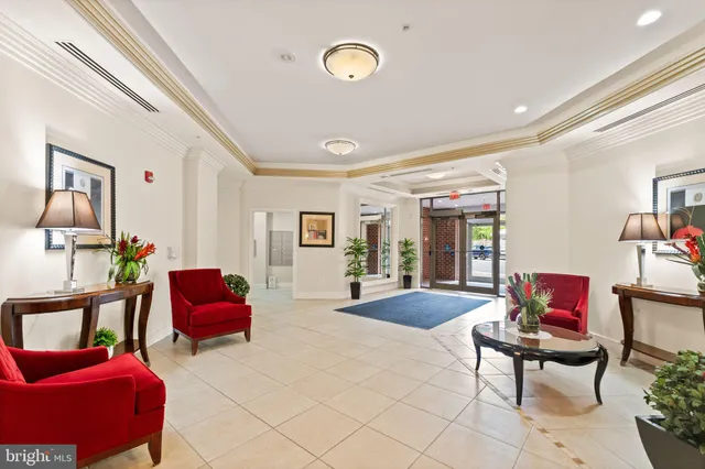a living room with furniture and potted plant