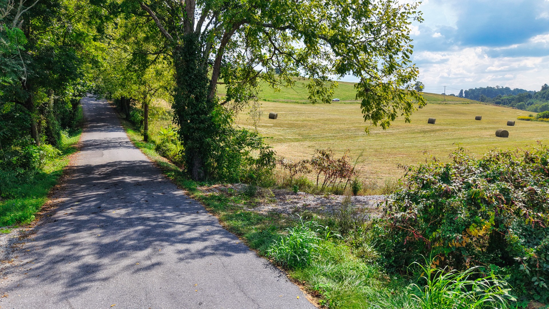 0 Mitchell Ridge Road Jonesborough, TN 37659 - Photo 80 of 82 Gallery Image 80