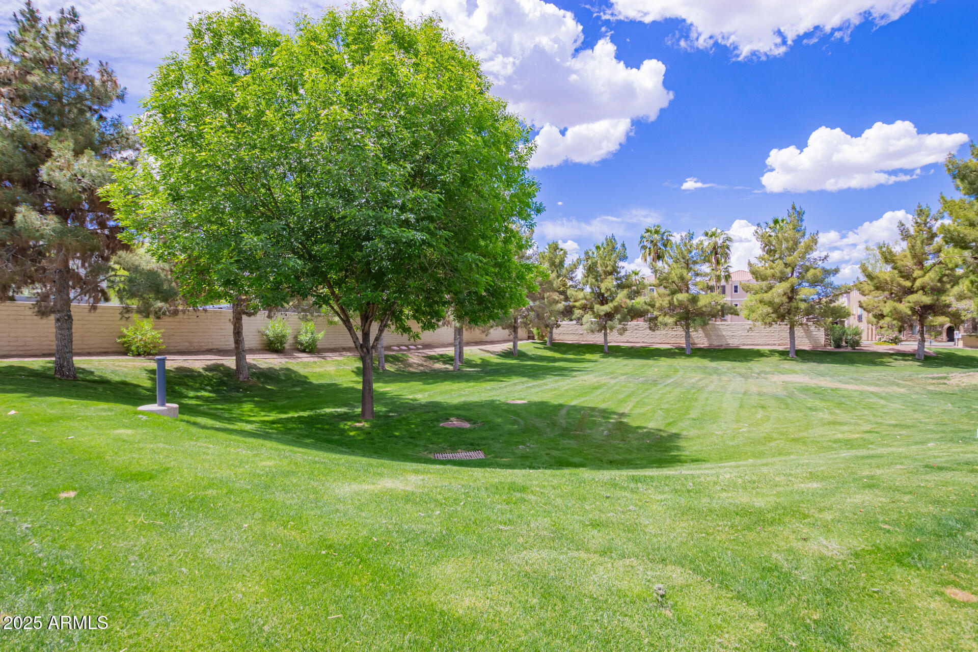 1851 East Frye Road, Unit 101 Gilbert, AZ 85295 - Photo 33 of 37 a view of a golf course with a lake