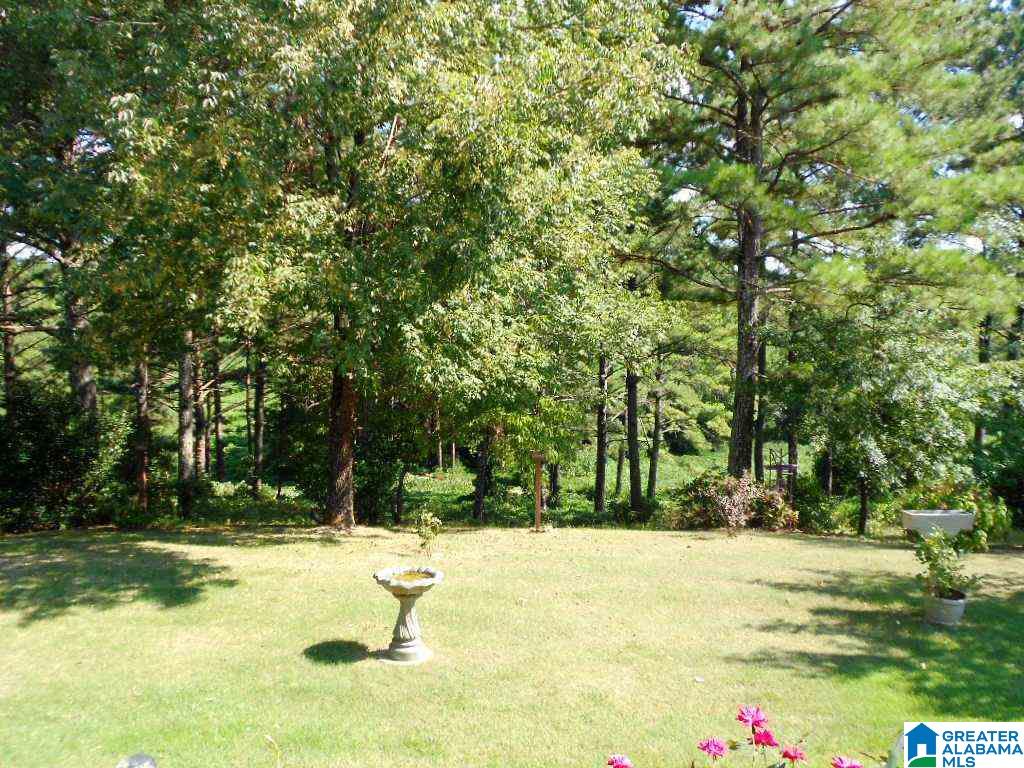 872 Mandy Williams Road Bremen, AL 35033 - Photo 31 of 32