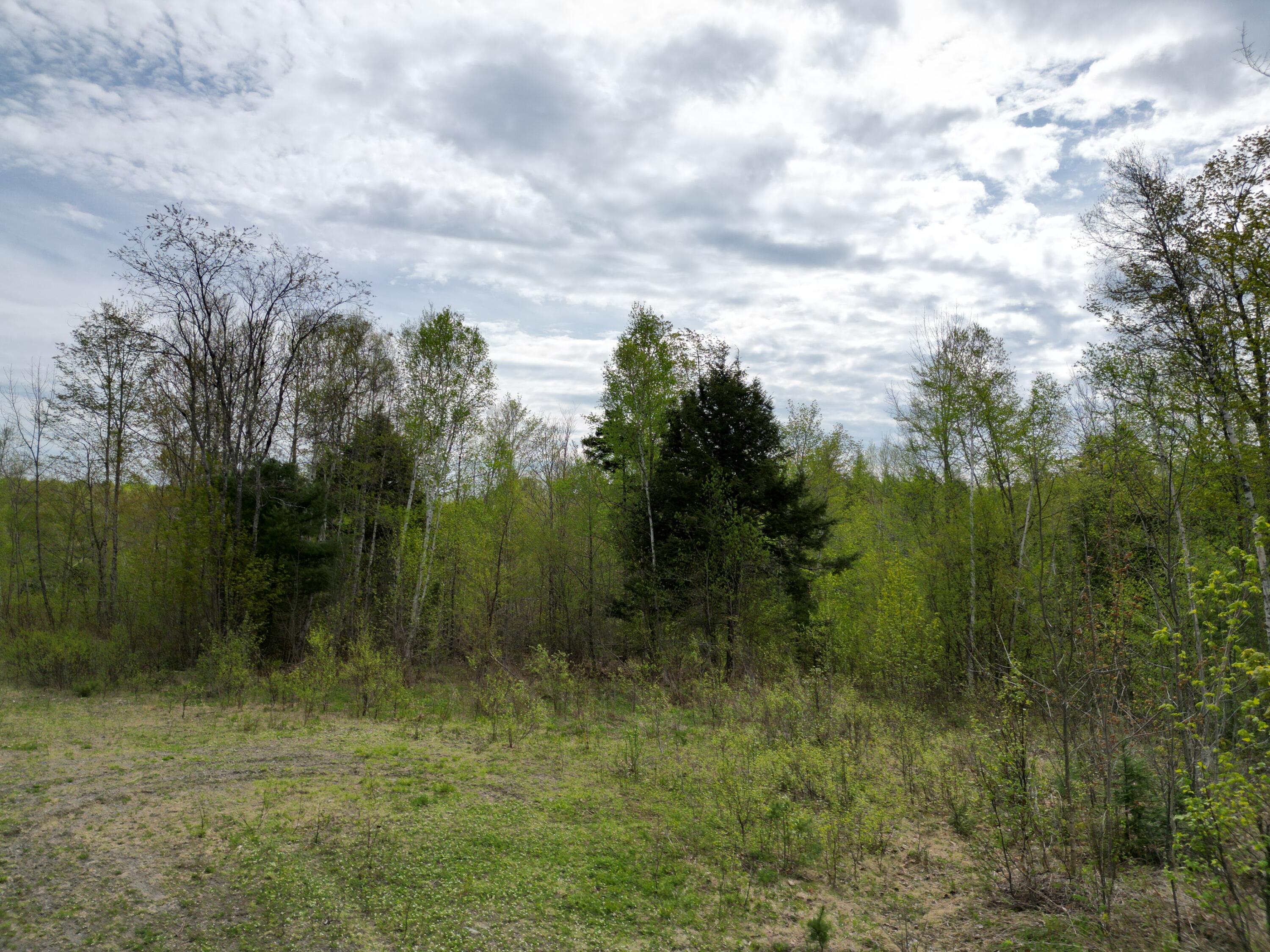Lot 9 W Road Brewer, ME 04412 - Photo 3 of 12 DJI_0440