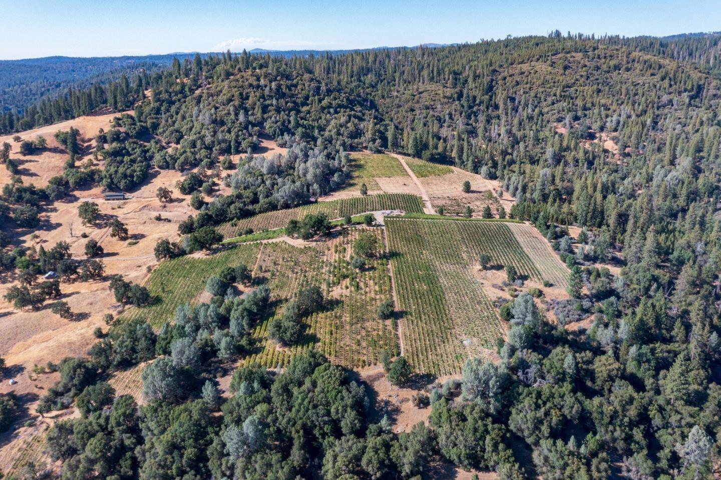 5200 Butte Creek Road Somerset, CA 95684 - Photo 20 of 30 Gallery Image 20