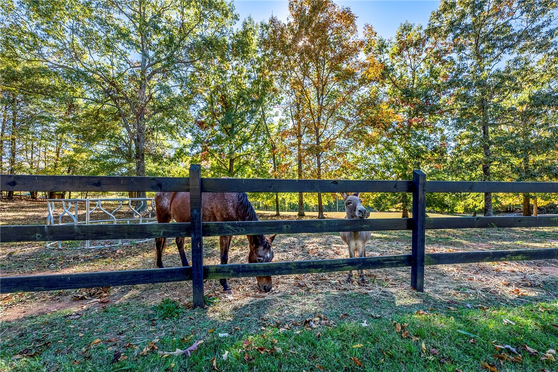 450 South 962 Chesnee, SC 29323 - Photo 31 of 37