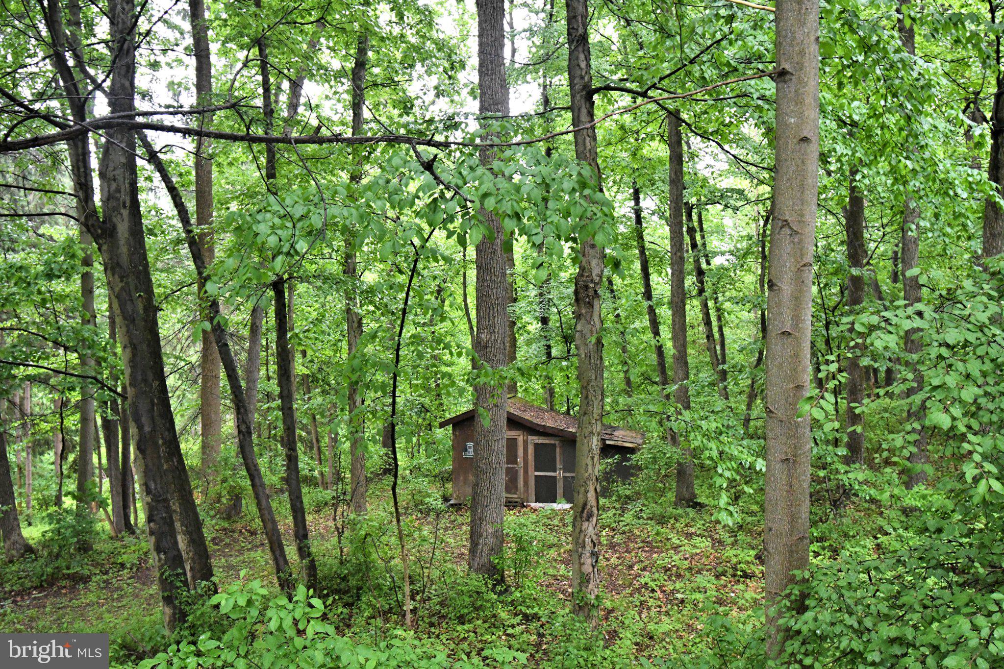148 Fredericksville Road Mertztown, PA 19539 - Photo 54 of 65