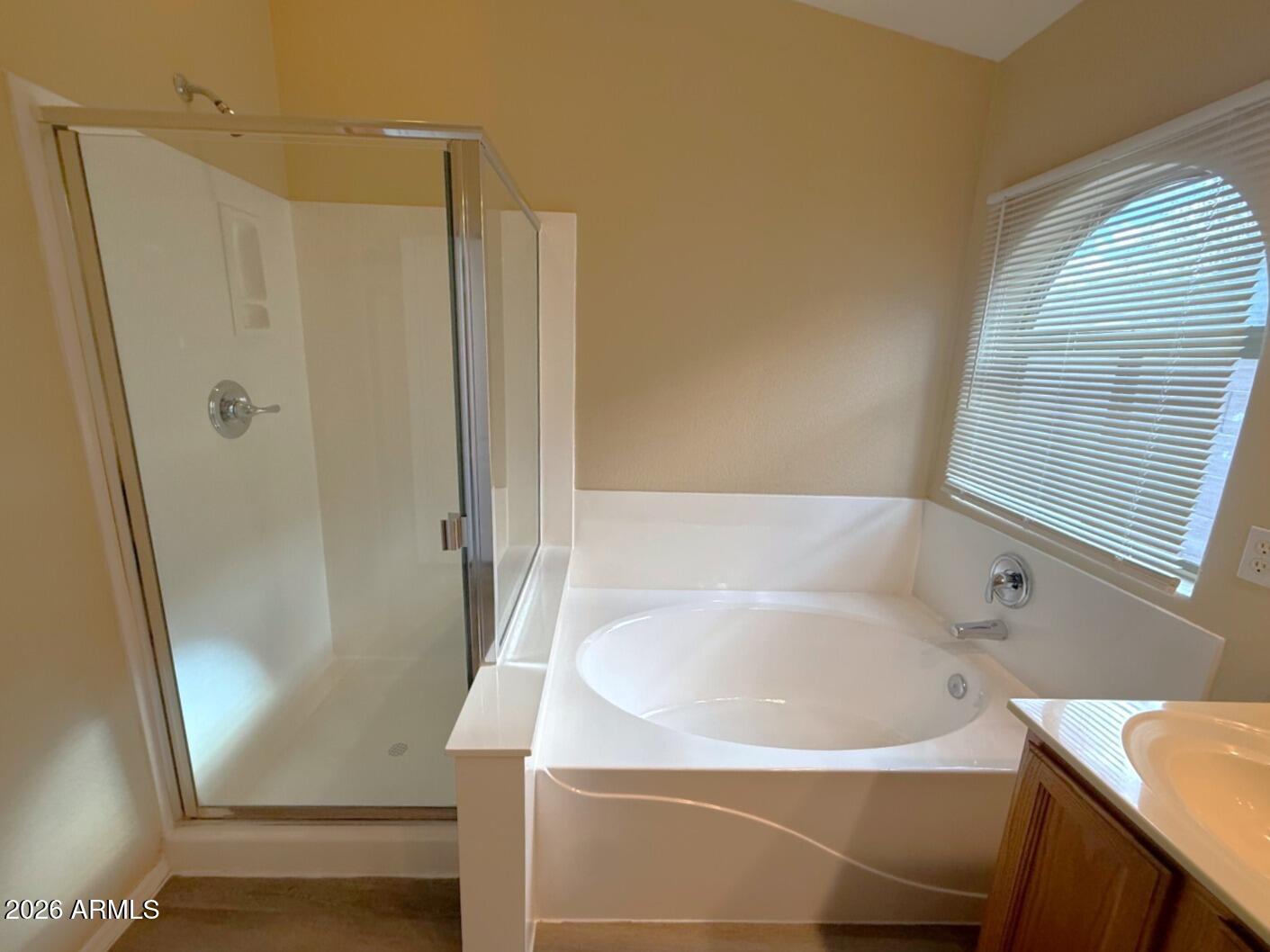4707 East Frye Road Phoenix, AZ 85048 - Photo 11 of 16