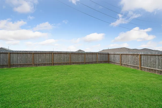 a view of a backyard with grass and a palm tree