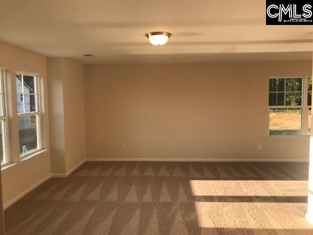 1375 Tamarind Lane Chapin, SC 29036 - Photo 10 of 18