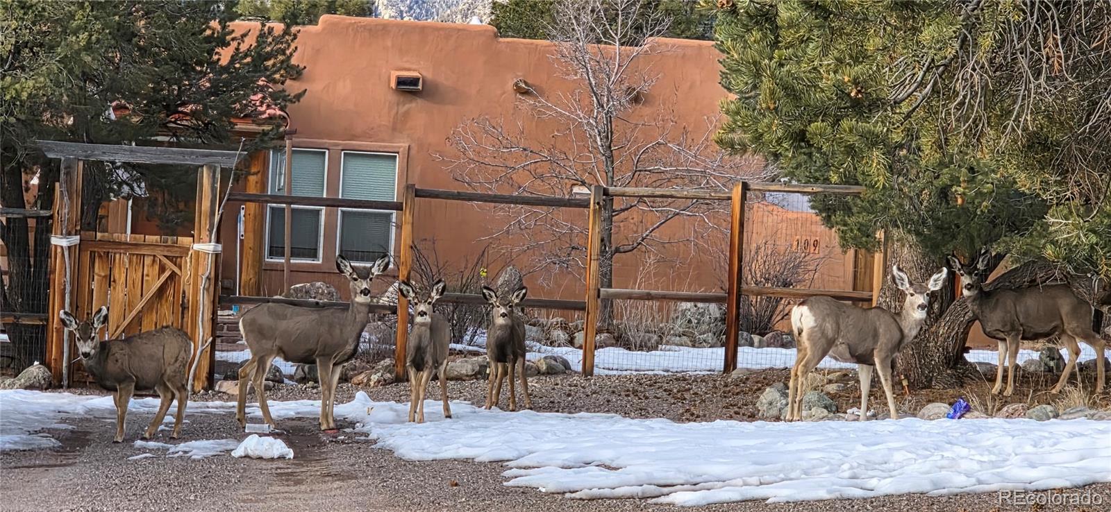 109 Pinewood Overlook Crestone, CO 81131 - Photo 2 of 35 a view of a house with a yard