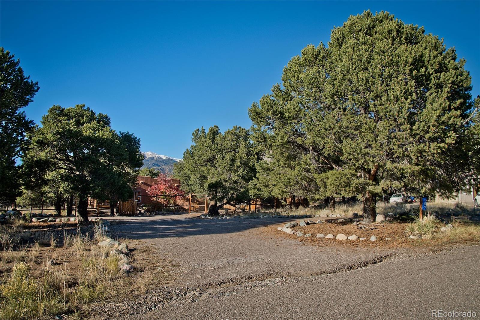 109 Pinewood Overlook Crestone, CO 81131 - Photo 30 of 35 a view of yard along with trees