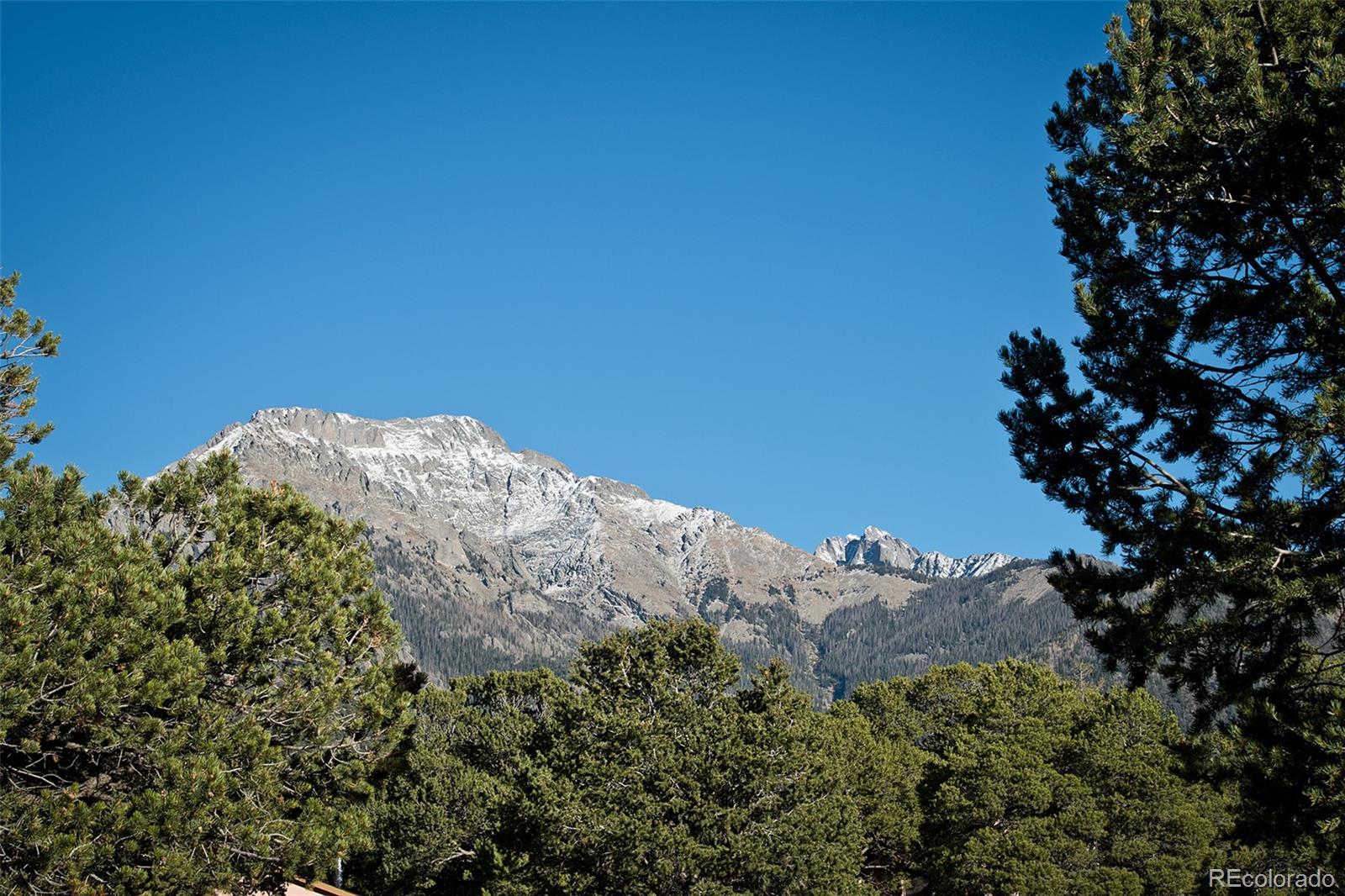 109 Pinewood Overlook Crestone, CO 81131 - Photo 31 of 35 a view of a large tree with plants in front of it