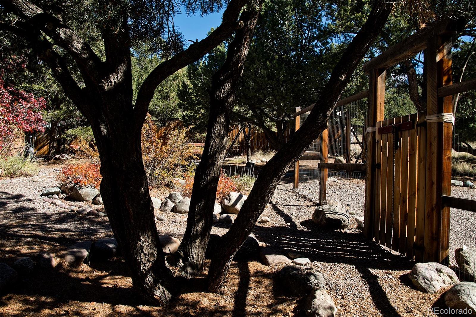 109 Pinewood Overlook Crestone, CO 81131 - Photo 33 of 35 a picture of tree