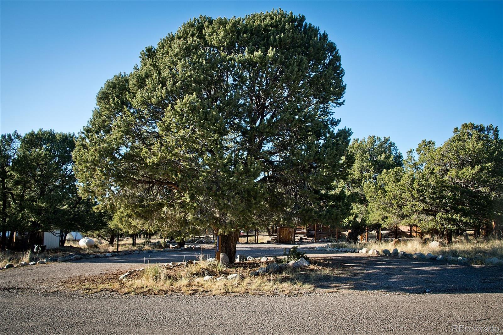109 Pinewood Overlook Crestone, CO 81131 - Photo 35 of 35 a backyard of a house with lots of green space