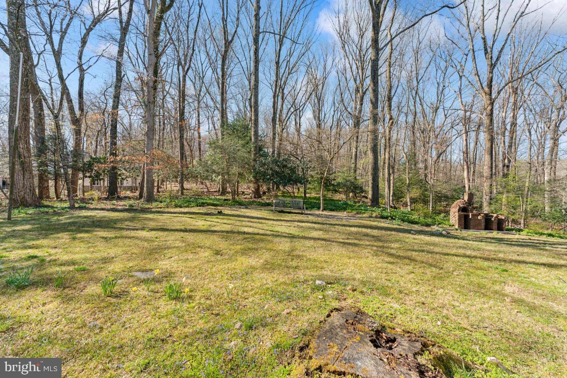 12308 Remington Drive Silver Spring, MD 20902 - Photo 8 of 48 Backyard