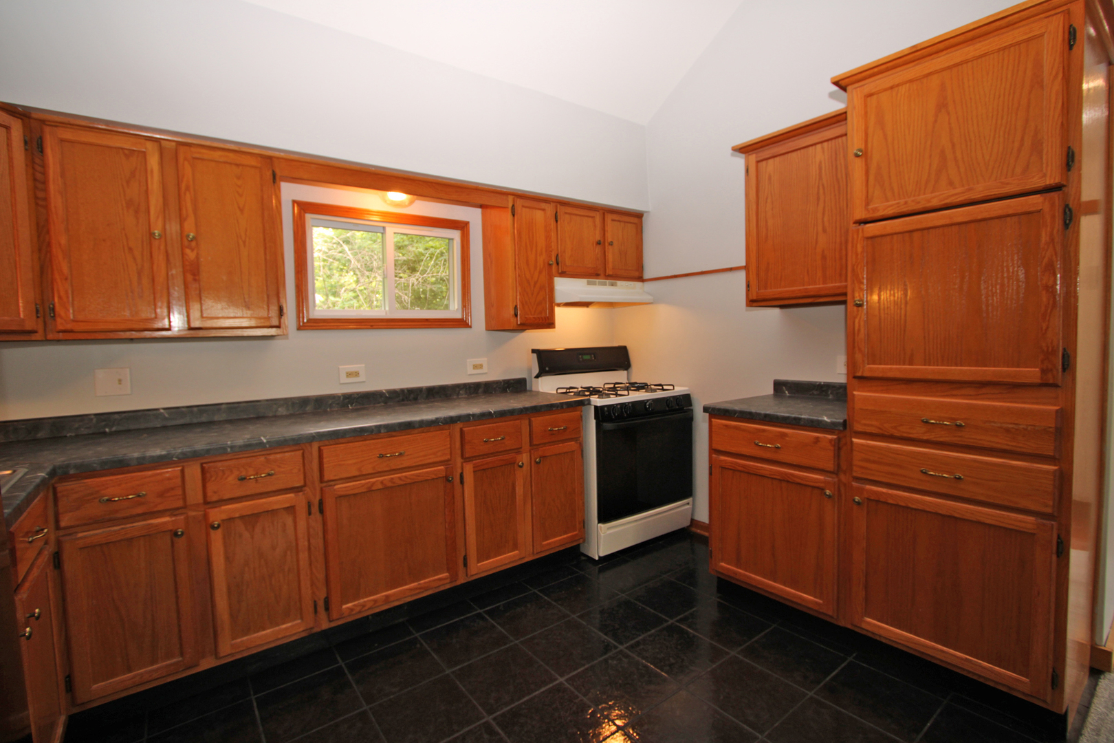 338 East Lakeview Avenue Round Lake Beach, IL 60073 - Photo 22 of 35