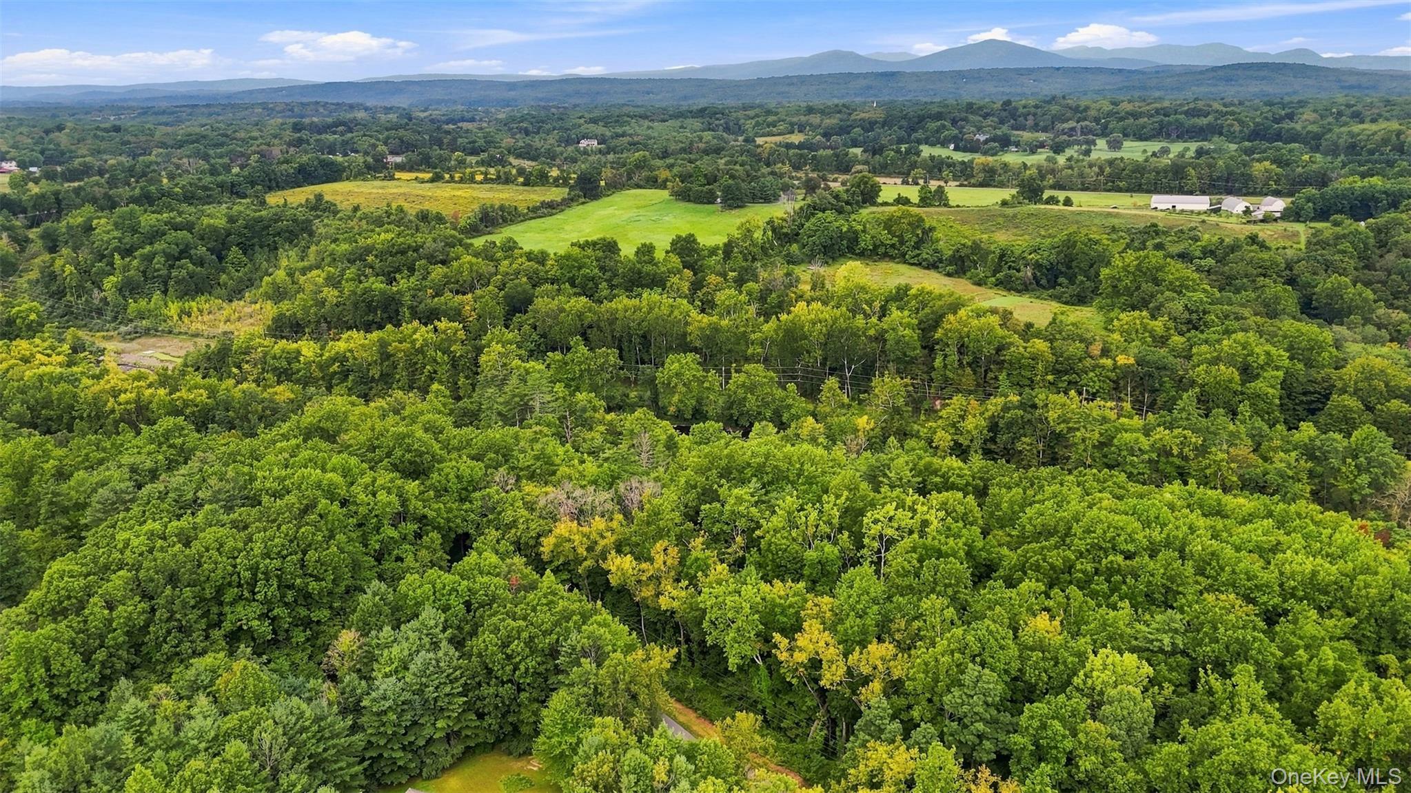 Bruceville Road High Falls, NY 12440 - Photo 2 of 24 Gallery Image 2