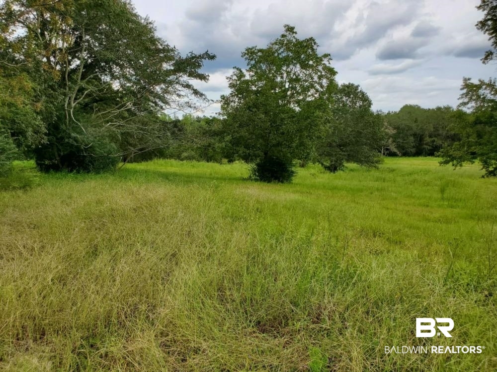 852 Hickory Street Florala, AL 36442 - Photo 11 of 11