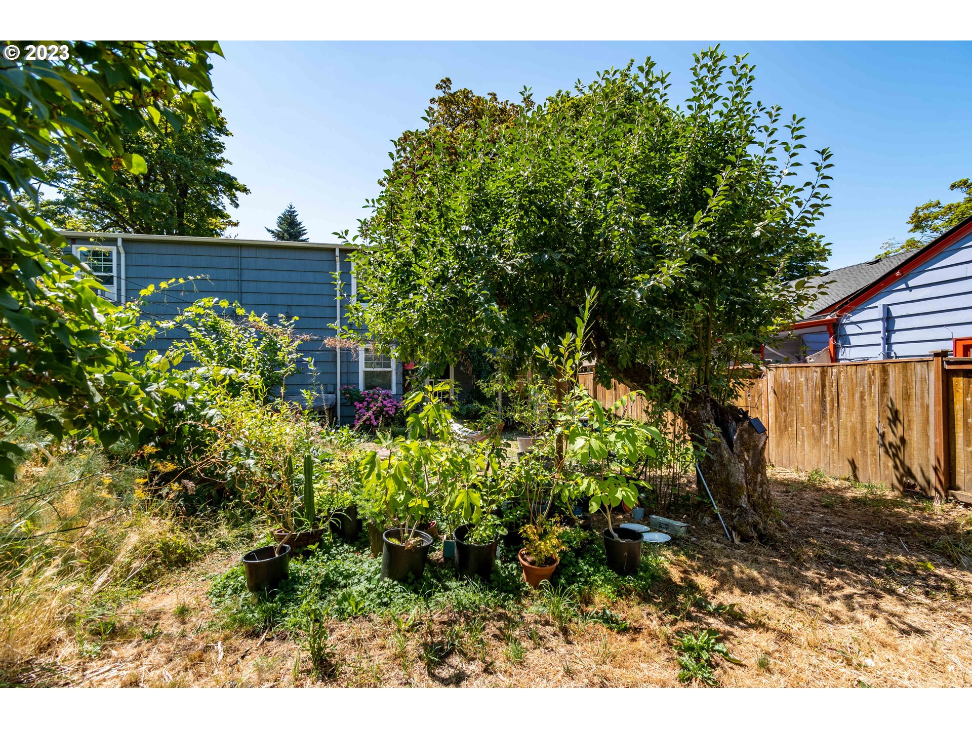1275 West 5th Avenue Eugene, OR 97402 - Photo 28 of 31 a view of a garden