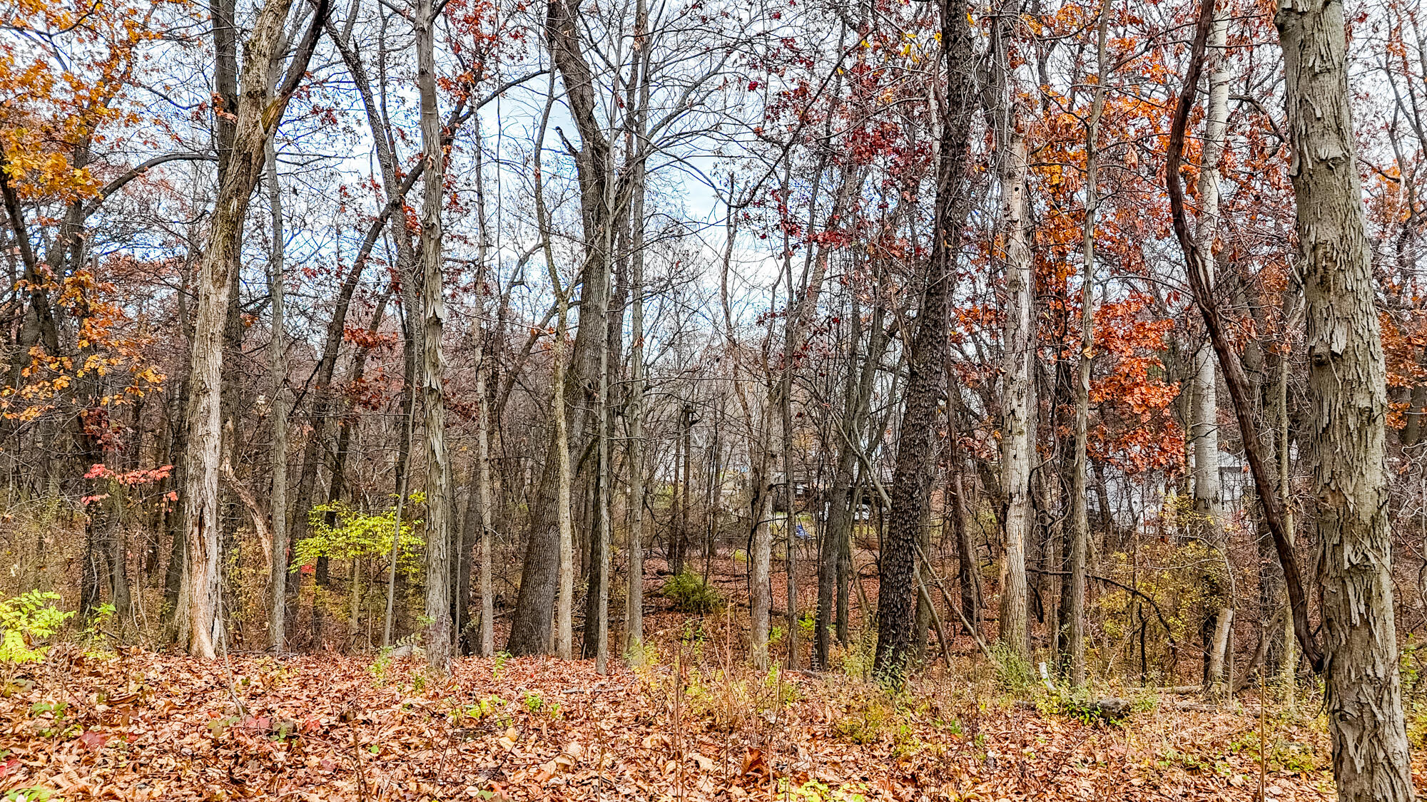 5101 Garden Gateway Road Valparaiso, IN 46383 - Photo 6 of 12 a backyard of a house with lots of green space and trees