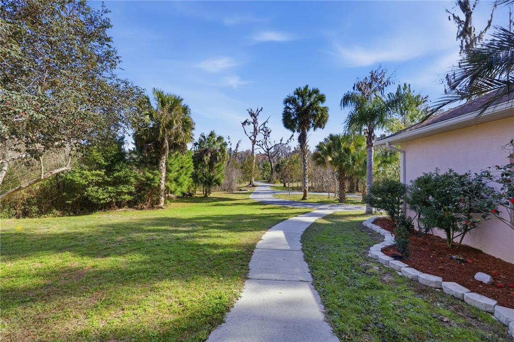 19040 Northwest 88th Avenue Road Reddick, FL 32686 - Photo 4 of 68