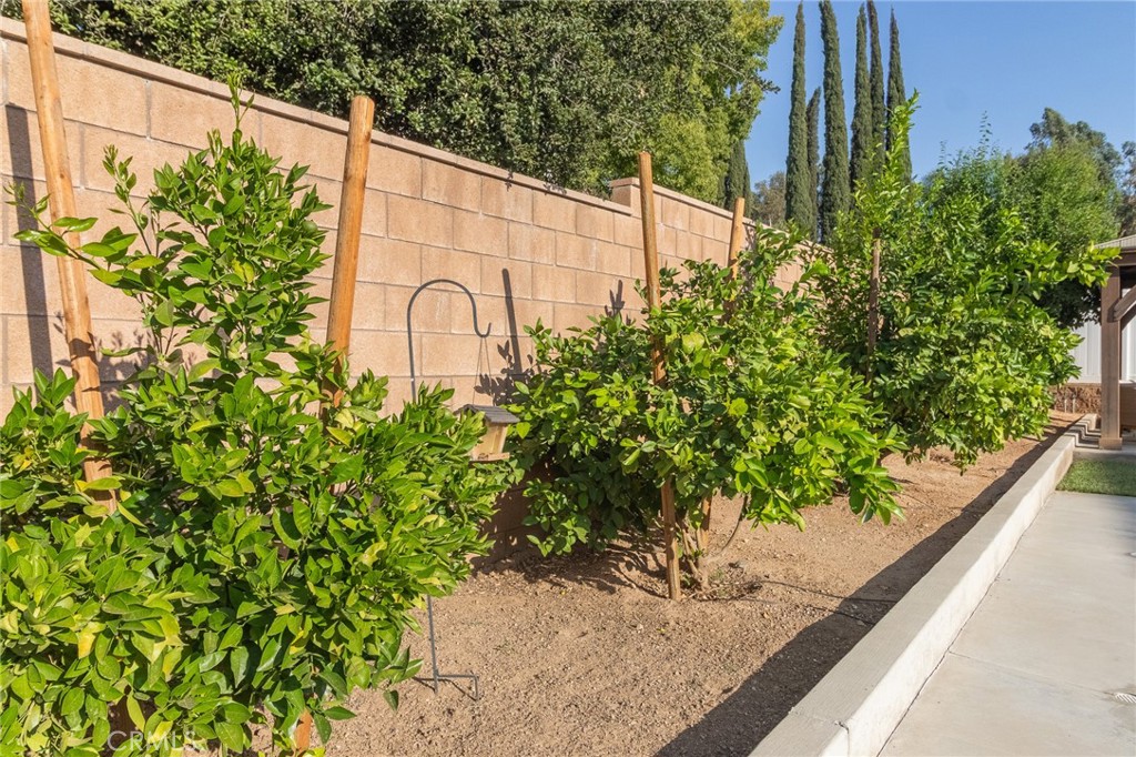 1827 Montecito Lane Redlands, CA 92374 - Photo 52 of 60