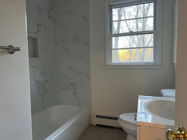 a bathroom with a toilet and a bathtub