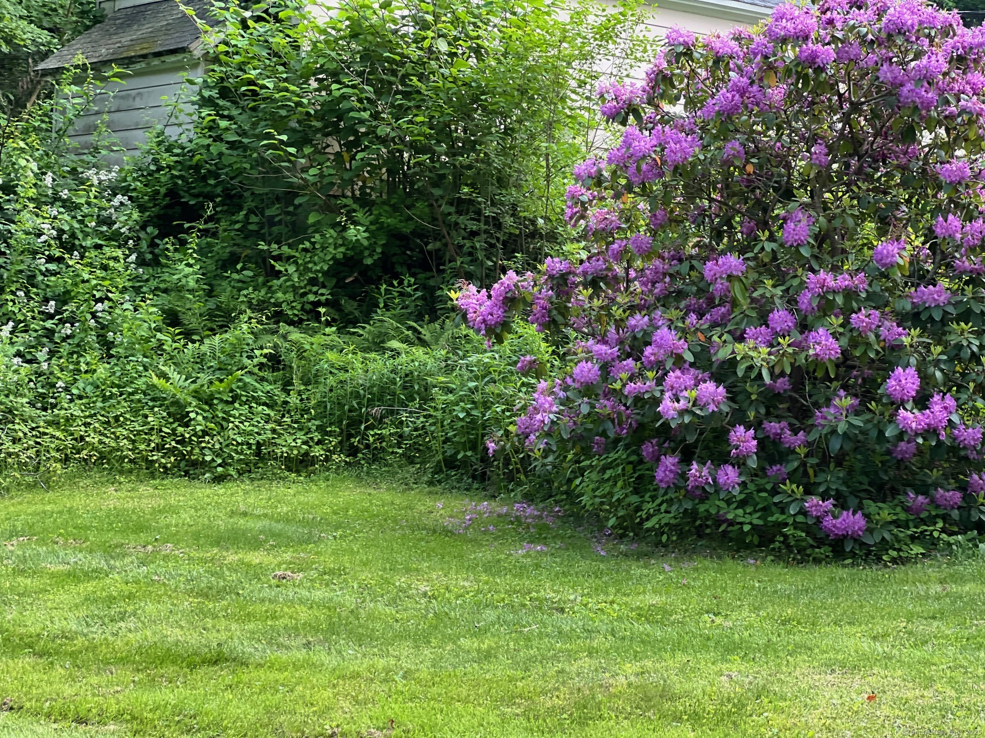 164 Birge Park Road Harwinton, CT 06791 - Photo 14 of 14