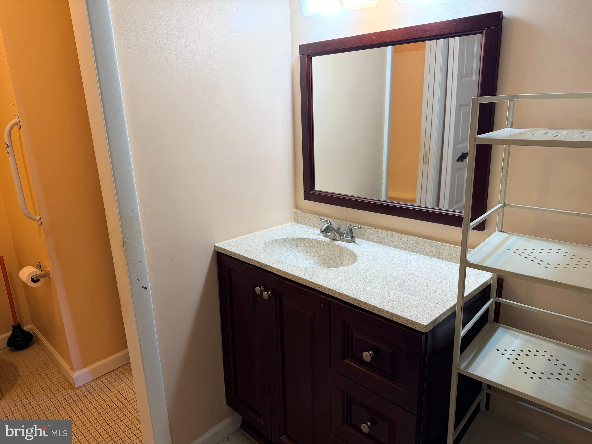 5247 West Running Brook Road, Unit 102 Columbia, MD 21044 - Photo 22 of 28 a bathroom with a sink and a mirror