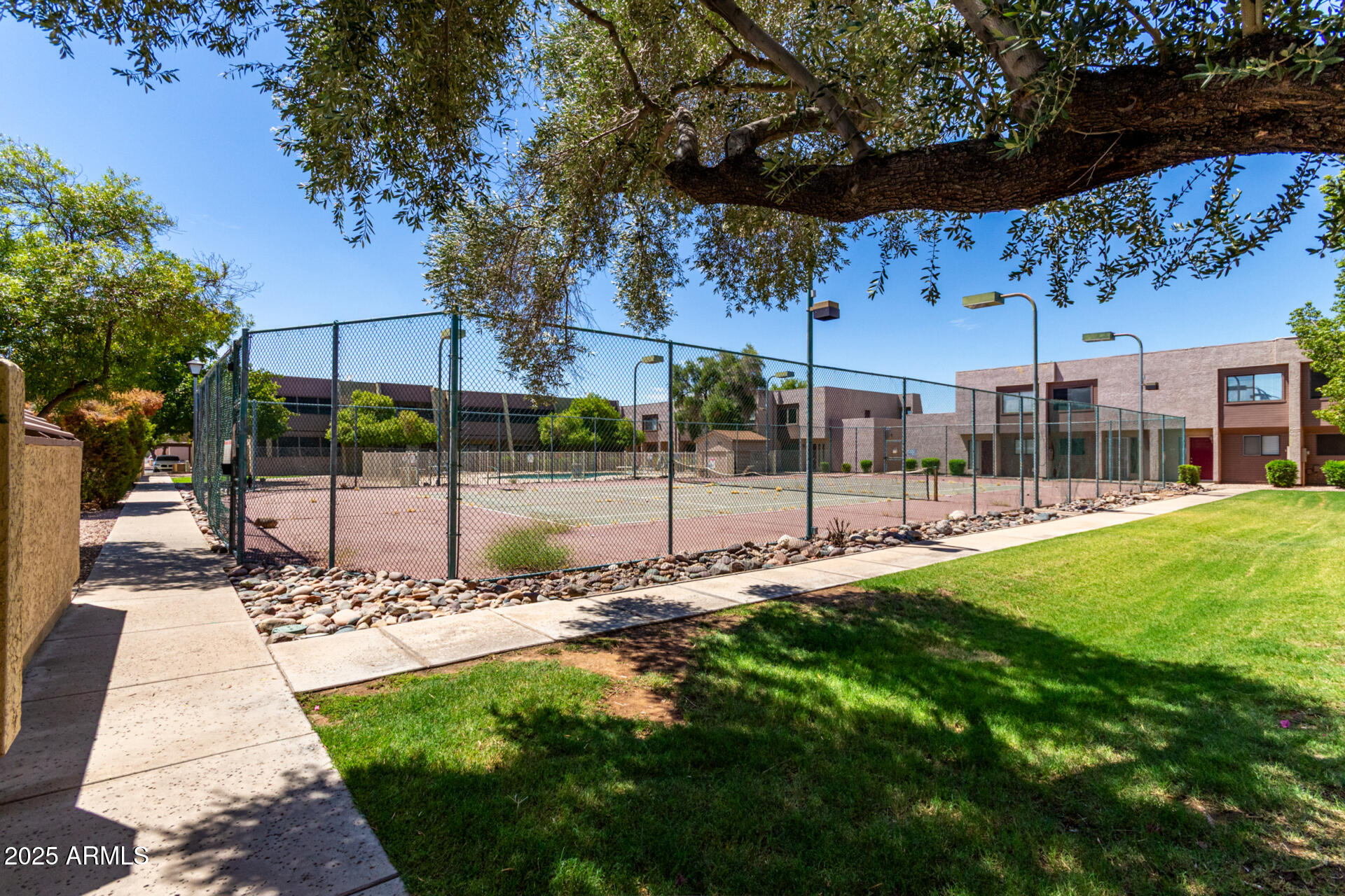 622 West 14th Street Tempe, AZ 85281 - Photo 17 of 18 a view of a park with a tree