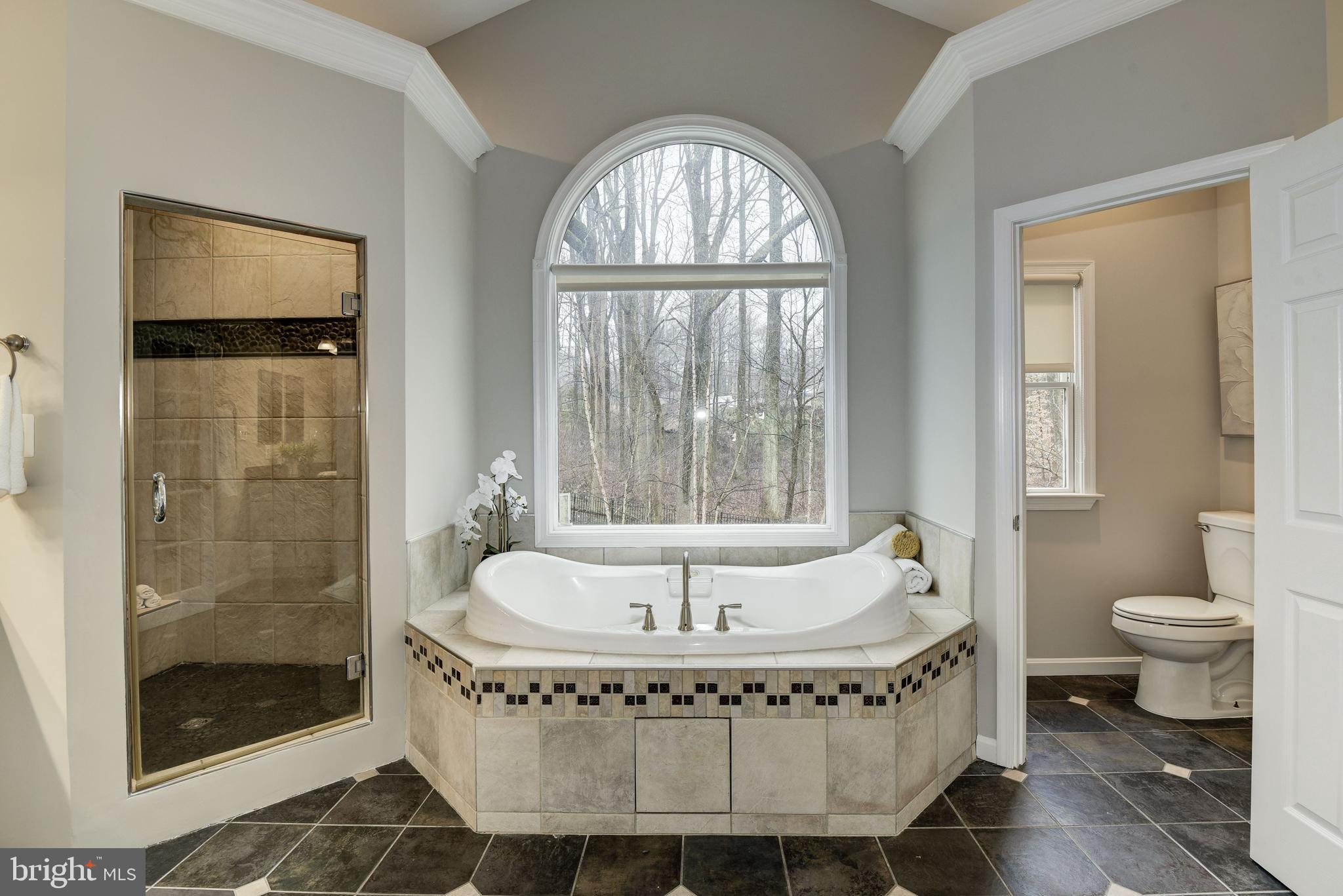 15818 Laughlin Lane Silver Spring, MD 20906 - Photo 31 of 60 Master bathroom