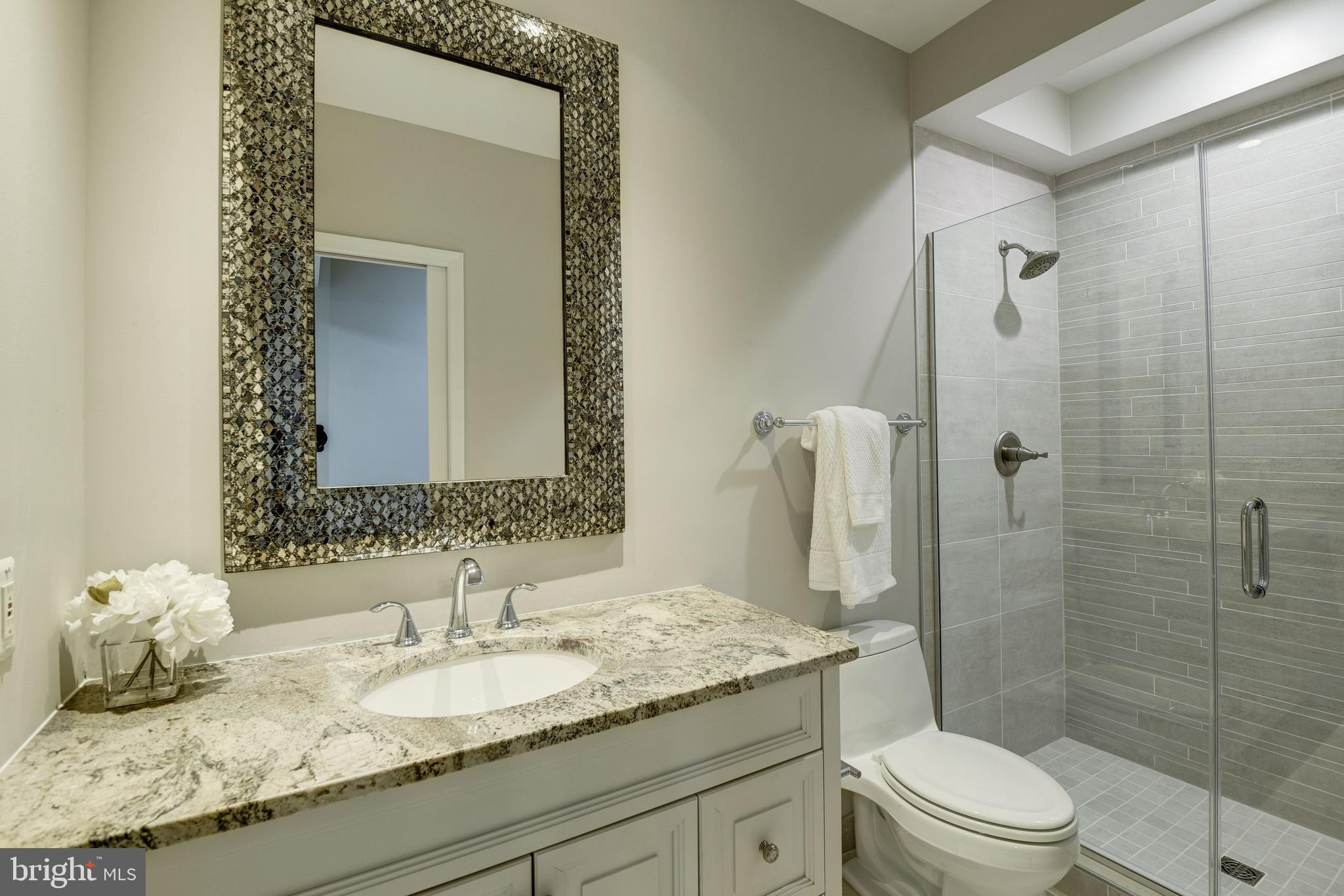 15818 Laughlin Lane Silver Spring, MD 20906 - Photo 43 of 60 Lower level bathroom