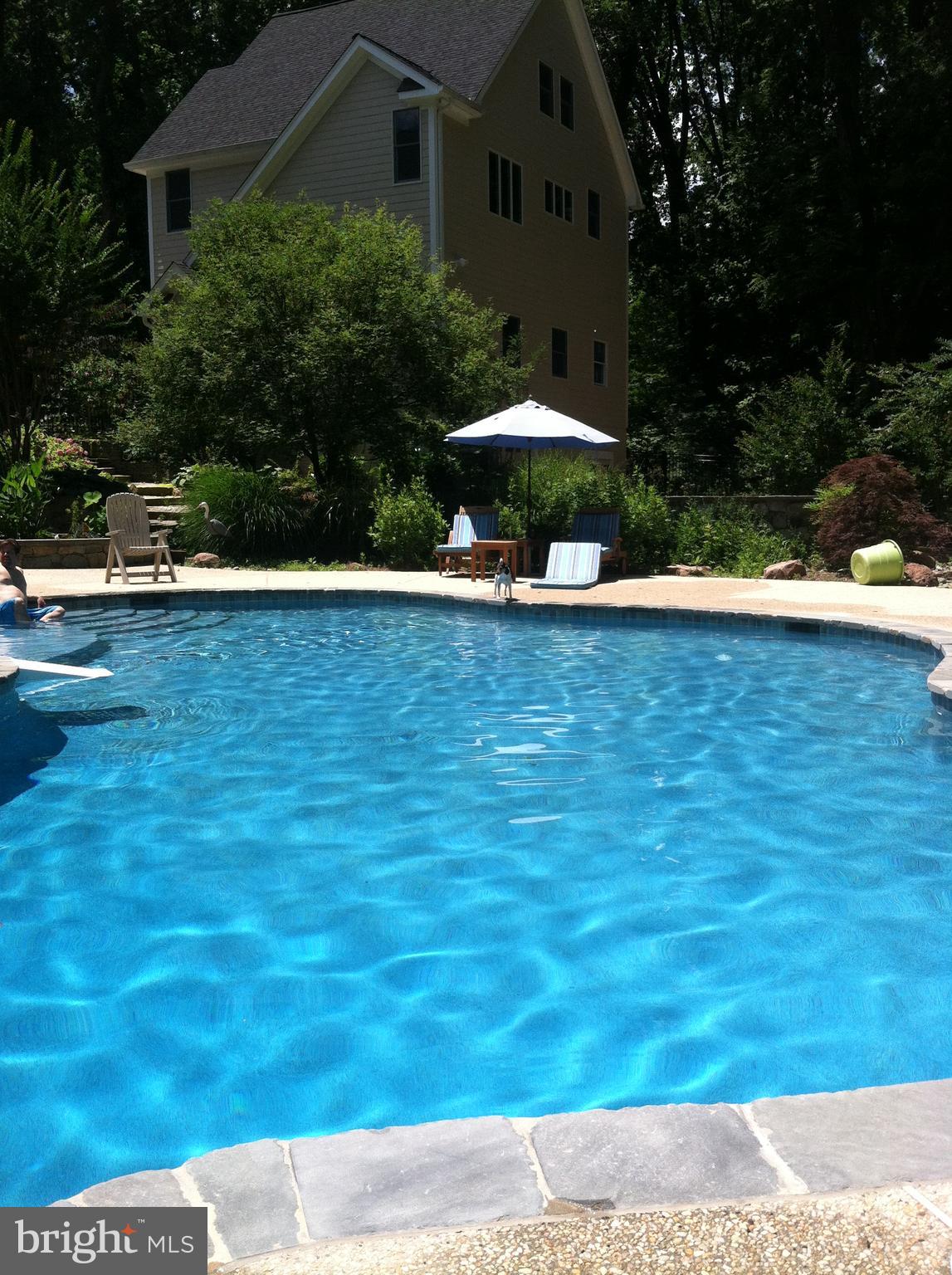 15818 Laughlin Lane Silver Spring, MD 20906 - Photo 52 of 60 Pool when open