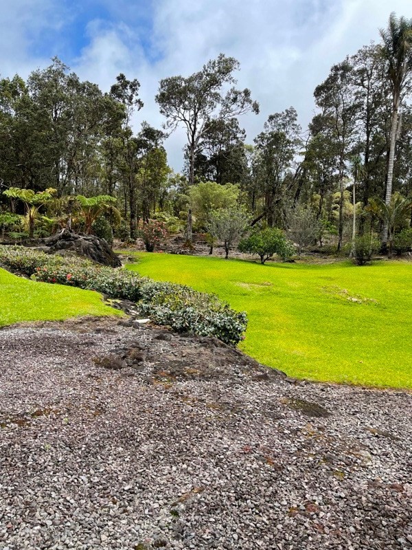 11-2879 Kiliohu Road Volcano, HI 96785 - Photo 23 of 24 Gallery Image 23