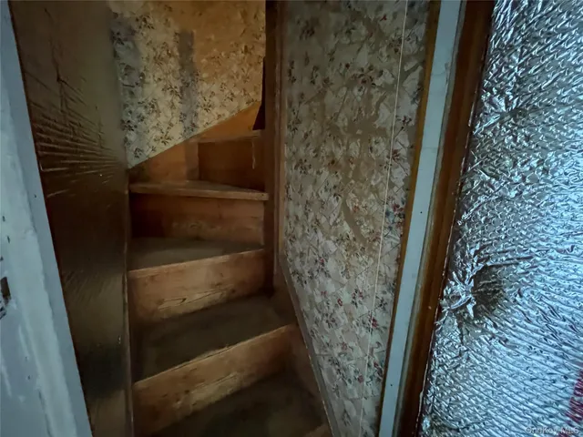 a view of a yard with plants and trees