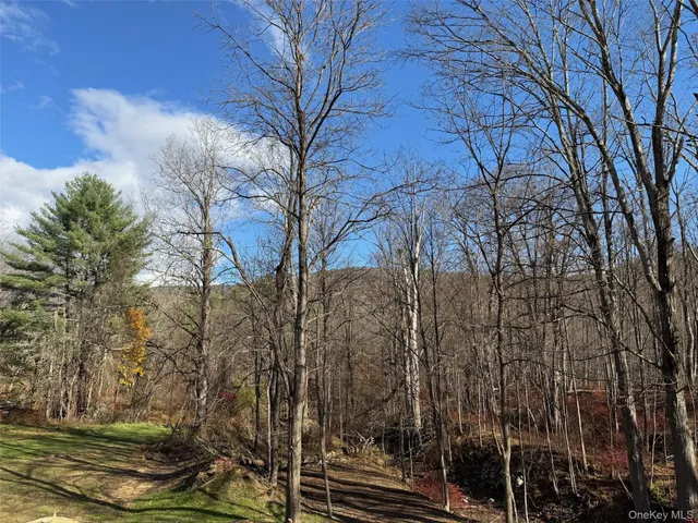 $379,900 | 104 Phillipsport Road North, Wurtsboro, NY 12790