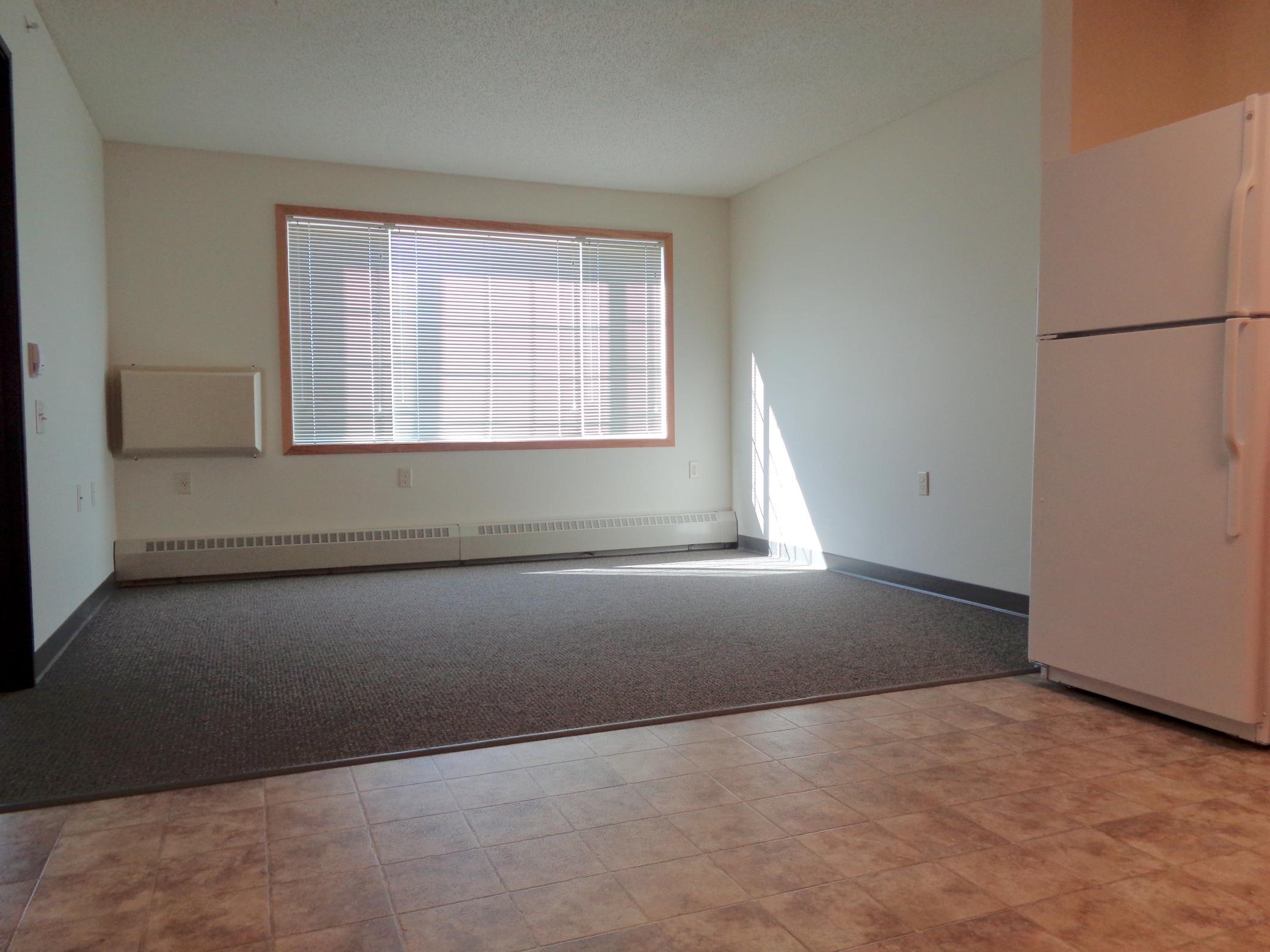 2107 Nobles Street, Unit 212 Worthington, MN 56187 - Photo 4 of 16