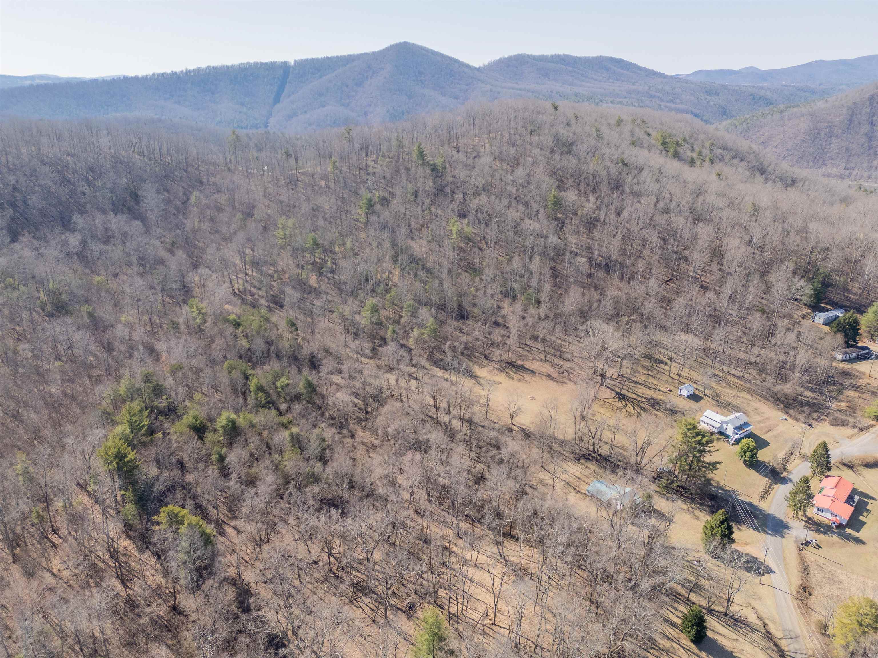 2161 Loafers Rest Road Austinville, VA 24312 - Photo 93 of 94 Gallery Image 93