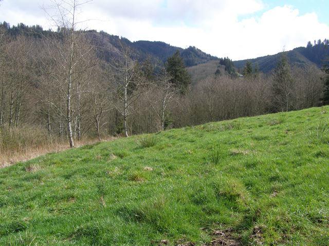 41 Skyview Road Tillamook, OR 97141 - Photo 10 of 33 P3180269