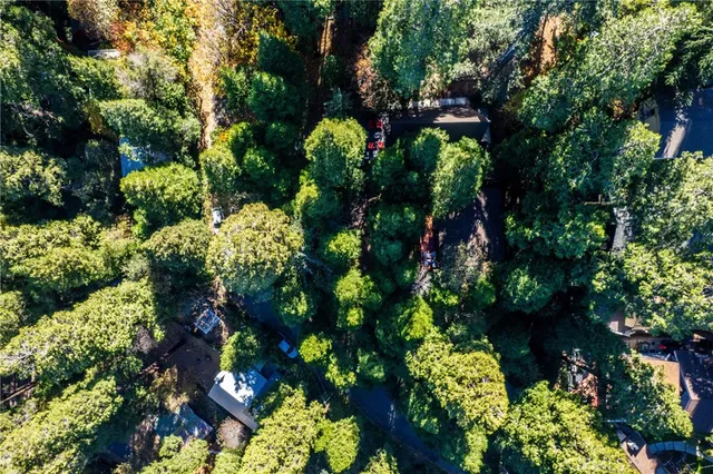 $300,000 | 668 Mormon Springs Road, Crestline, CA 92325