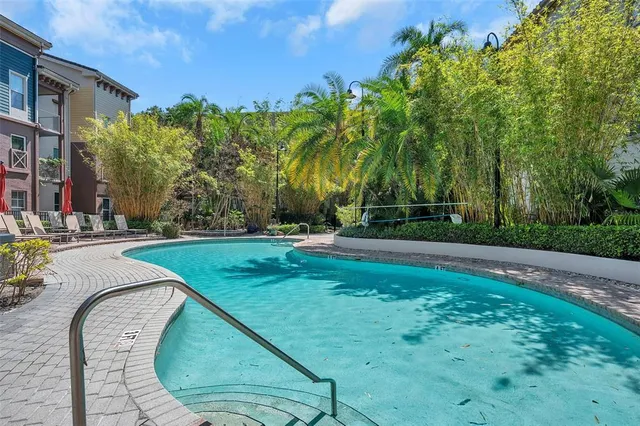 a view of a park with large trees