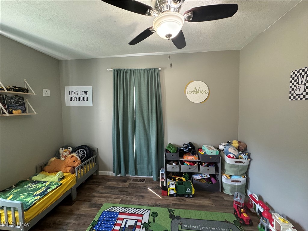 1480 Jerrys Run Road Belleville, WV 26133 - Photo 23 of 48 Recreation room featuring a textured ceiling, ceiling fan, and dark hardwood / wood-style floors