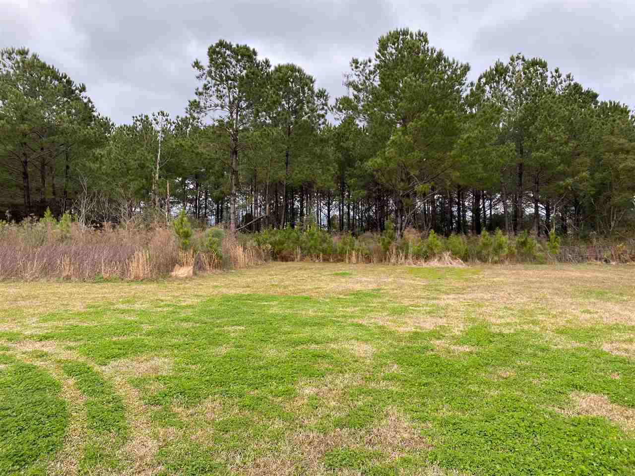 9699 Spanish Fort Boulevard Daphne, AL 36527 - Photo 4 of 6