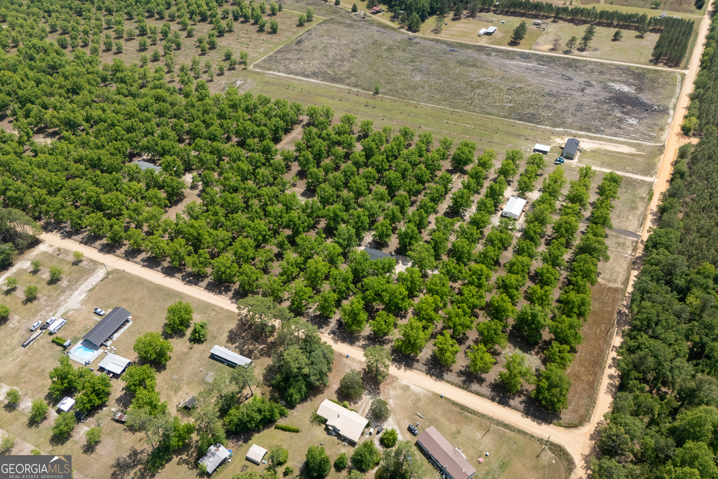2959 Lake Lannell Road Odum, GA 31555 - Photo 29 of 30 a view of a yard with plants